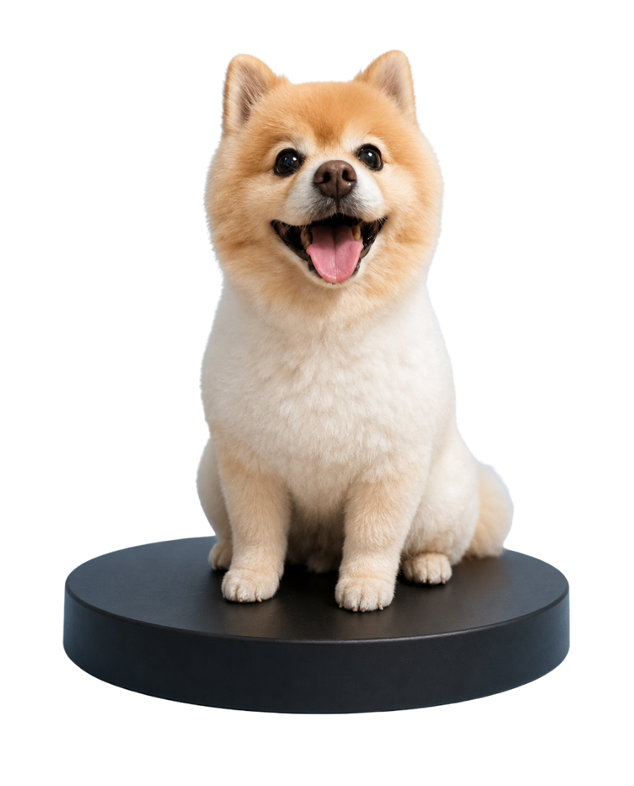Mascota Fullcolor premium